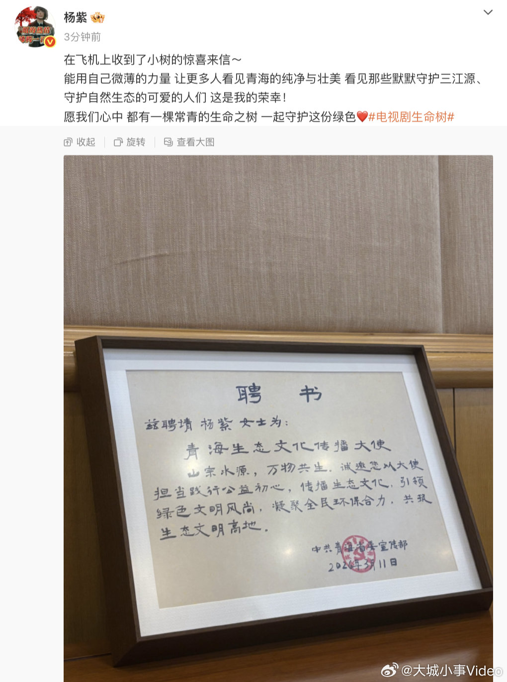 杨紫收到小树的惊喜来信【杨紫收到了聘书】3月11日，晒中共青海省委宣传部颁发的聘