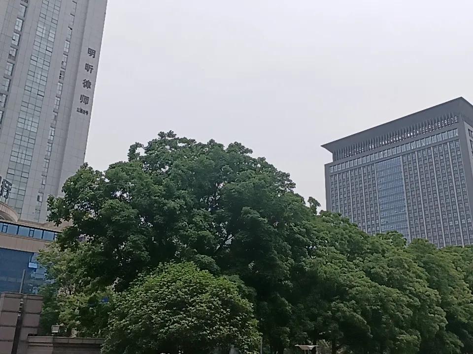 世界杯转播权，第三次降到1.05亿，央视依旧没点头，坚持自己之前的6200