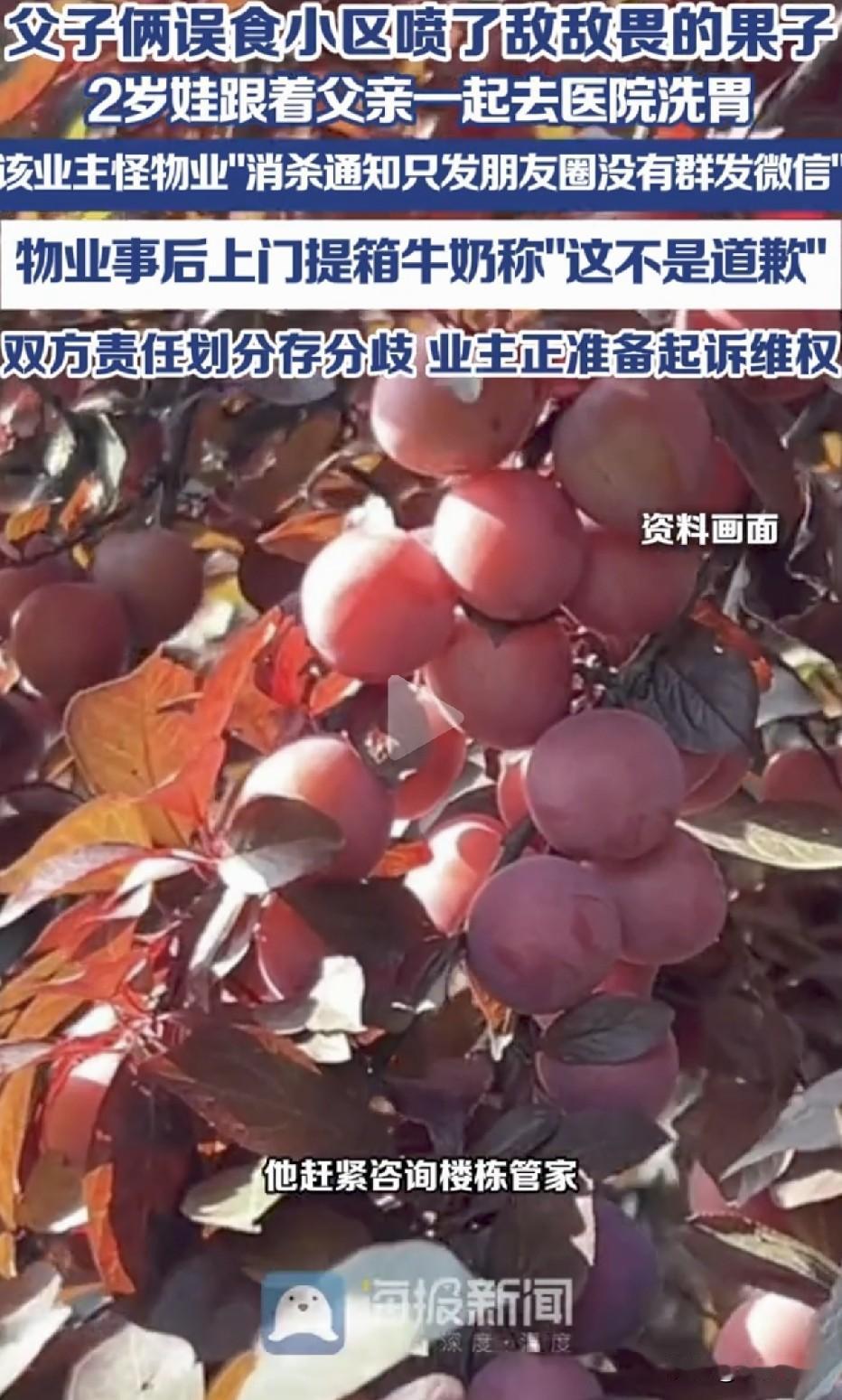 小区果子可别乱吃了！男子带孩子摘食小区内李子，后才知晓打过敌敌畏，急忙去洗胃，要