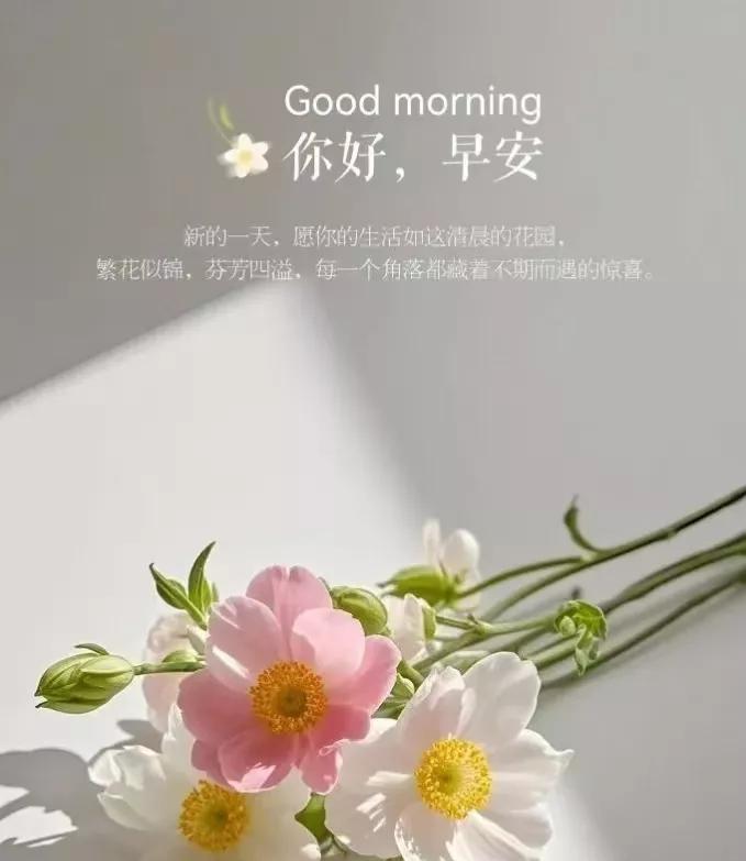 早安心语：新的一天，愿你的生活如这清晨的花园，繁花似锦，芬芳四溢，每一个角落都藏