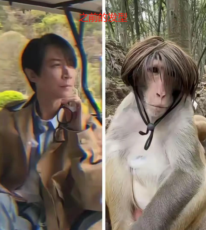 张维伊是听劝的，发型一换秒变弟弟，网友：全网都在帮董璇调教老公！