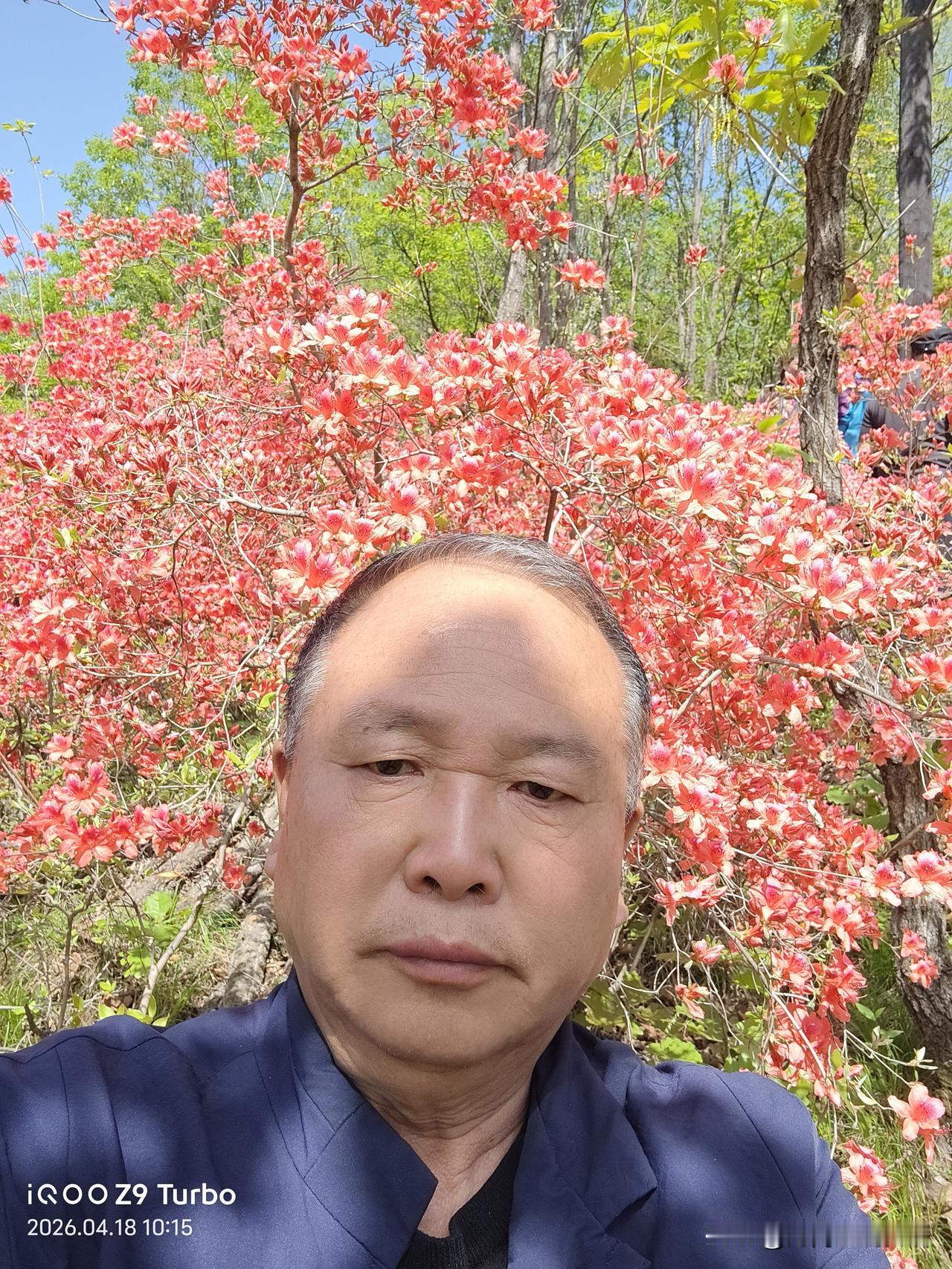 春日赏花，那红艳如火的景象，着实让人陶醉。就说贵州阿西里西·千年杜鹃景区，眼下正