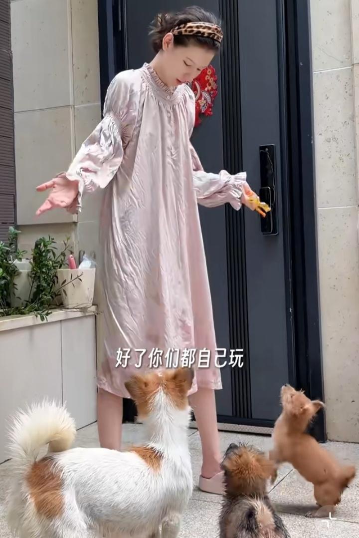 张予曦收养小狗一家七口…家族一直在扩大​​​