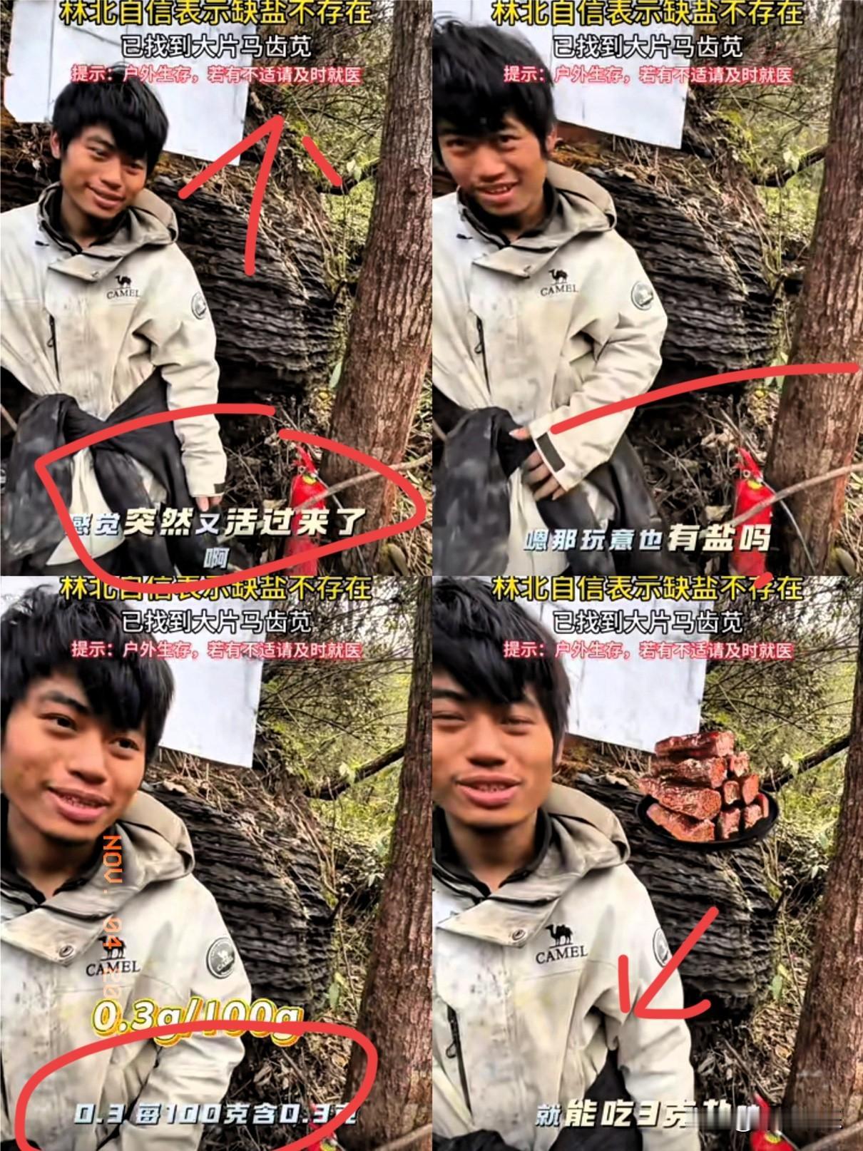 林北找到“救命盐”却喊出声！这波操作看懵人！七星山骆驼杯求生到第27天，林北