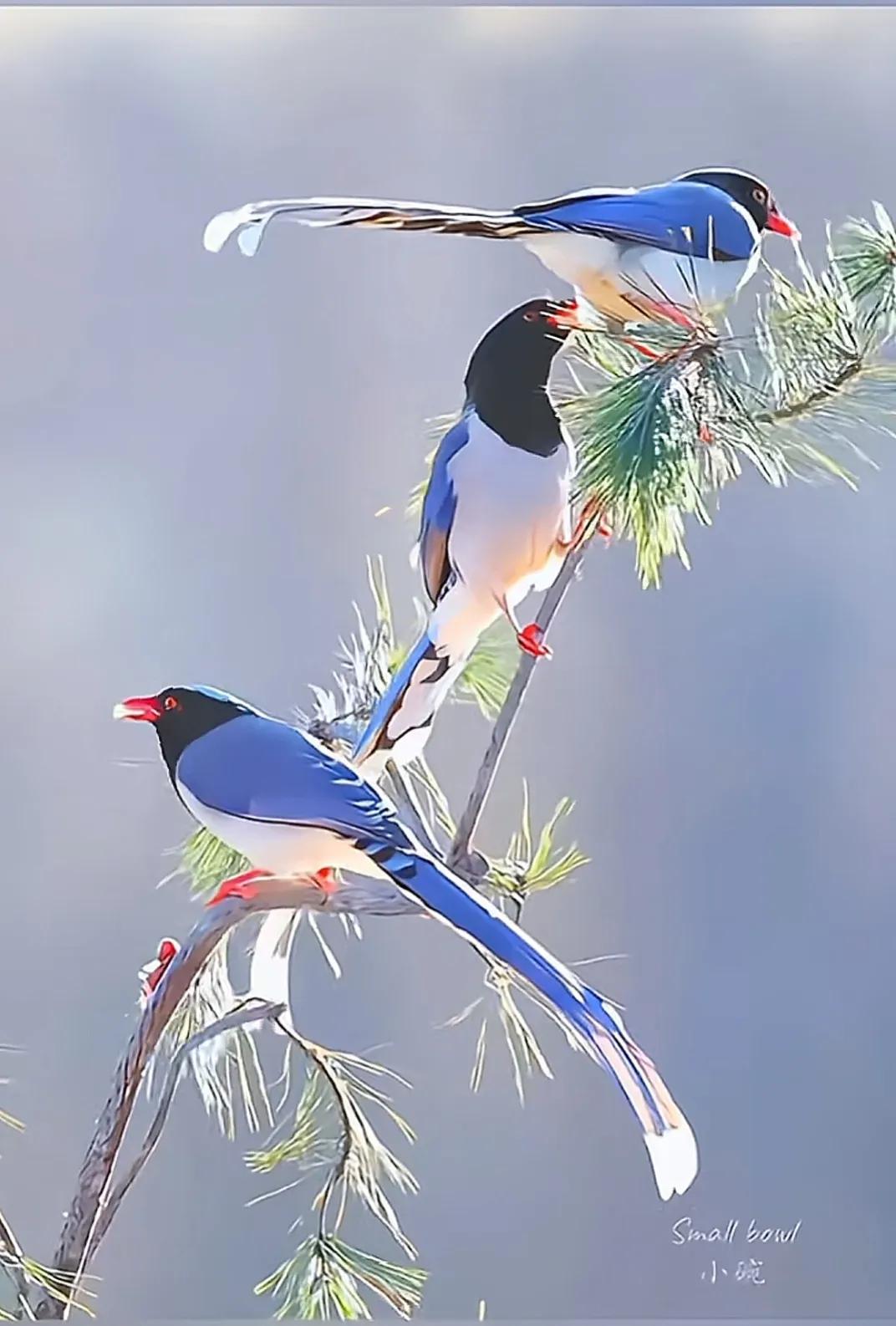 可能是北京市的市民与各大院校的平均值，其它城市十户人家找不出一户有书柜的，这就是