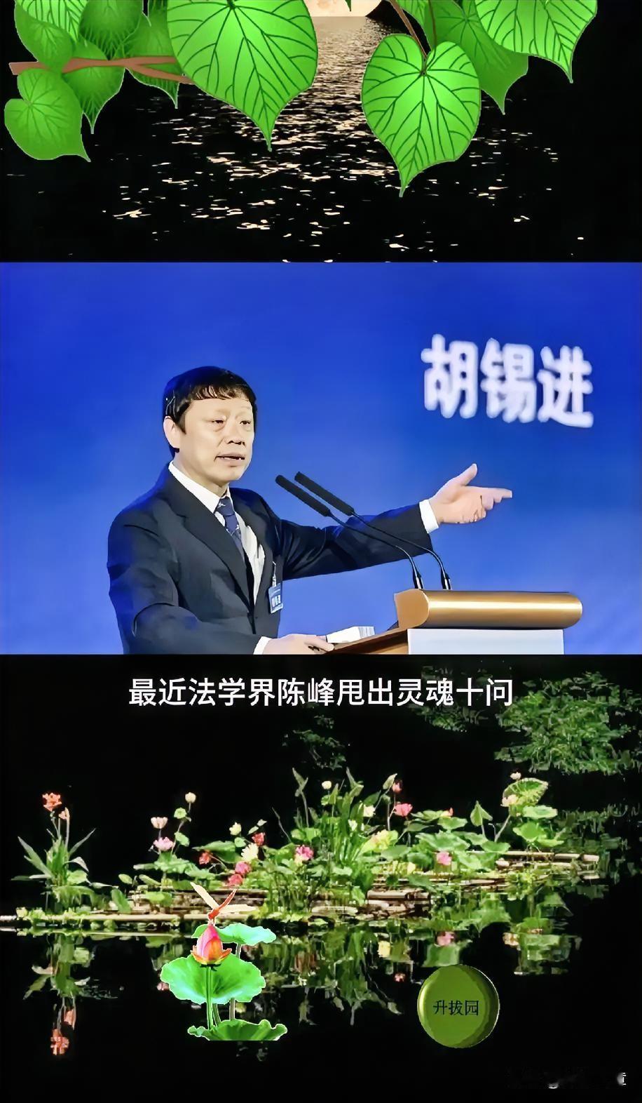当胡锡进遭遇全网一致且持久声讨，陷入狼狈境地。他一定消停一阵子，把头钻进沙子里，
