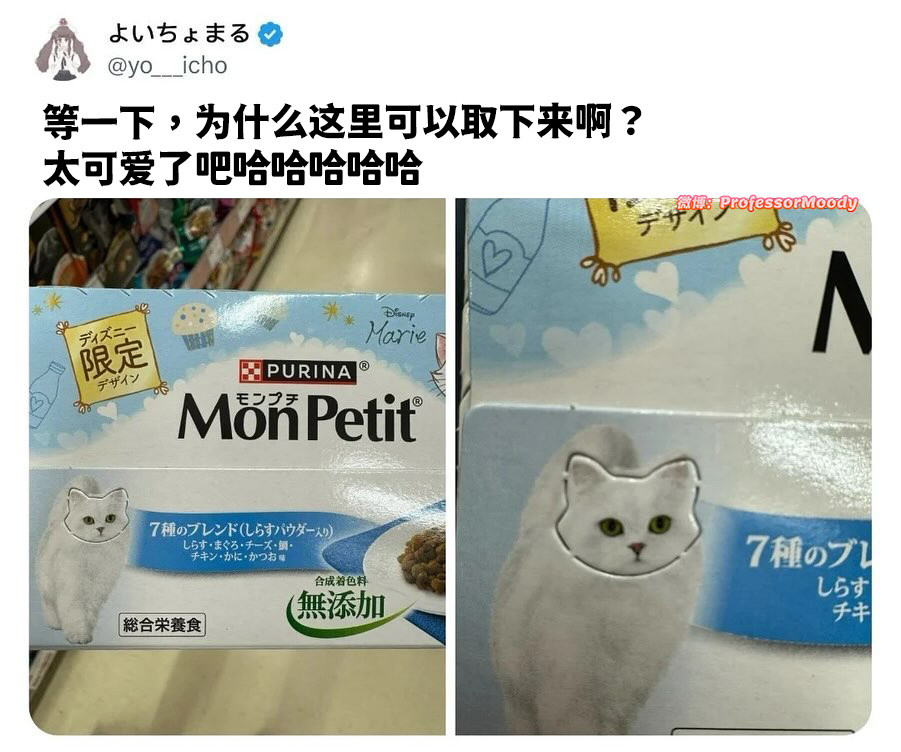 超级可爱猫猫头！meme​​​