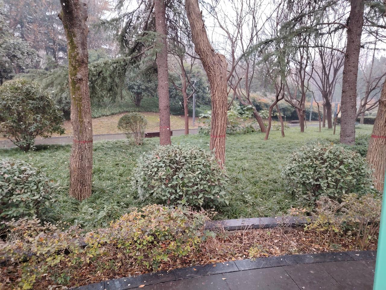 没评上高级教师的老师该不该参加他人的高级教师通过宴呢？有一天，校长在全校聚餐时