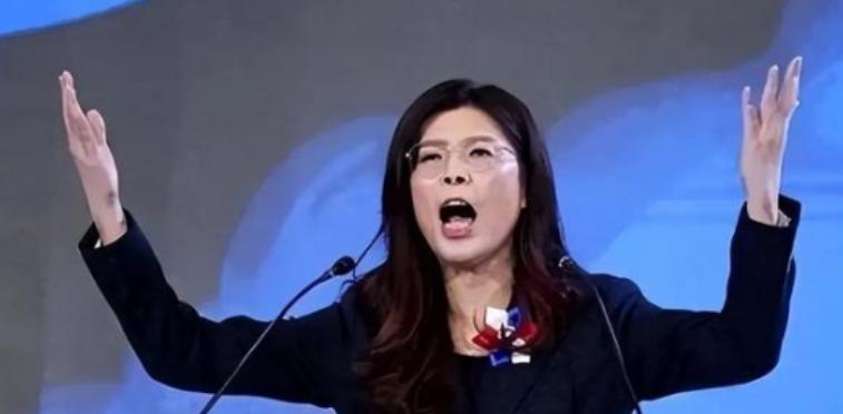 台湾蓝营正式亮底牌！郑丽文公开表态拒绝“一国两制”，不再暧昧闪躲，这一拳究竟砸向