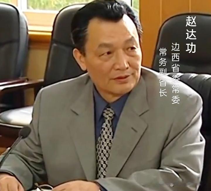 常务副，曾经大到没边的副手！比如《罪域》里的李子涛，同时任深厦市委副书记兼政法