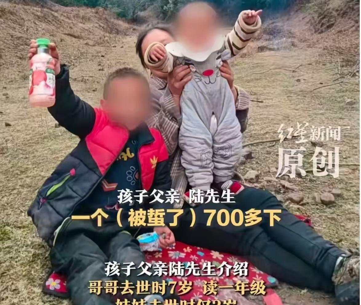 悲剧！云南省牟定县，一对兄妹被胡蜂蜇伤致死！父亲：“哥哥七岁，妹妹才两岁！要求赔