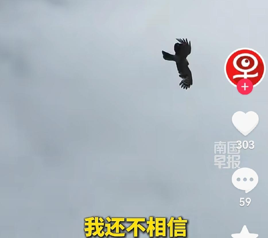 万万没想到，重庆，男子带着妻儿采蘑菇，突然听到“呼”声传来，他不以为意，可抬头后
