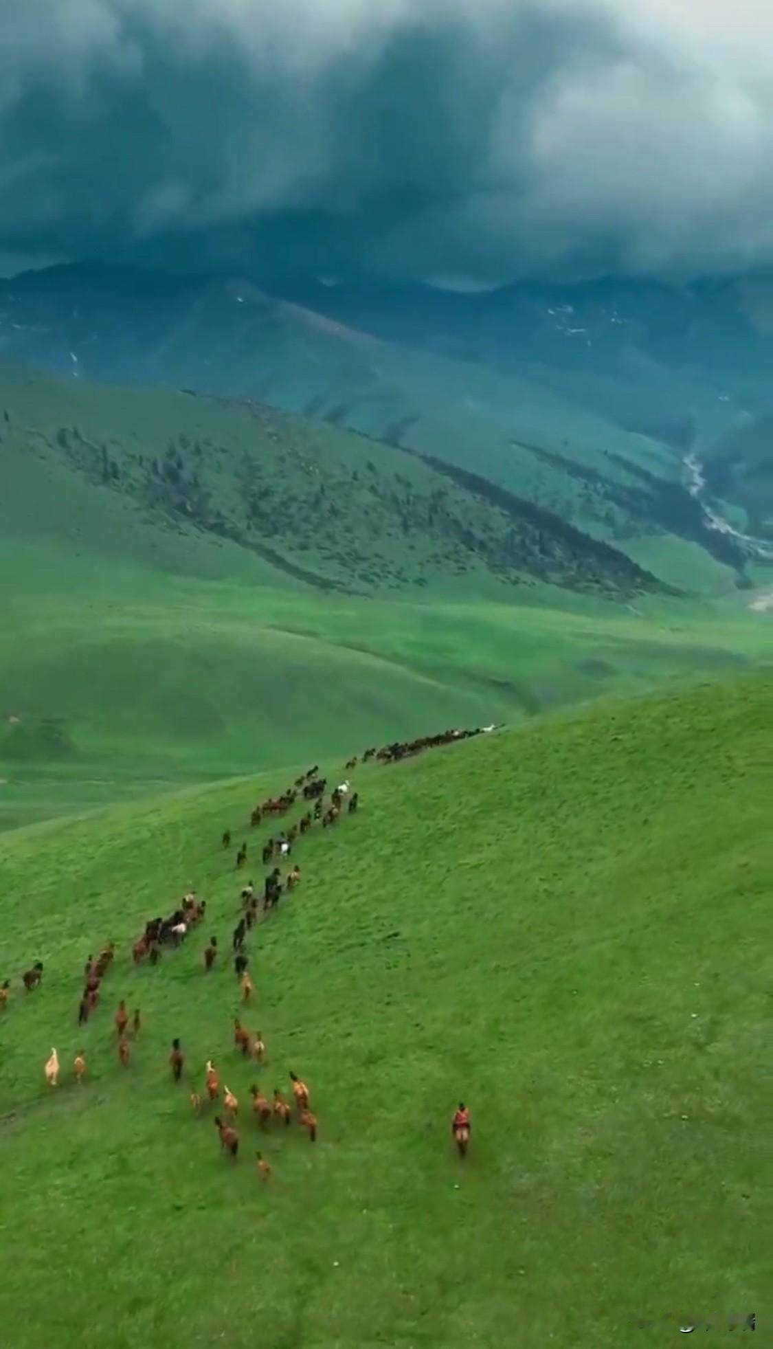 哈萨克斯坦草原；世界上最大的草原地区……欧亚大陆的草原曾经是世界上最广阔的草
