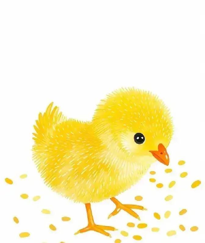 属鸡的伙计们，12月11号到14号这四天，你那股天生爱条理的毛病，突然就成了救命