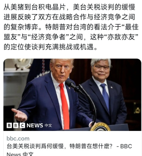 BBC中文网今天（7月18日）写道：“从美猪到台积电芯片，美台关税谈判的缓慢进展
