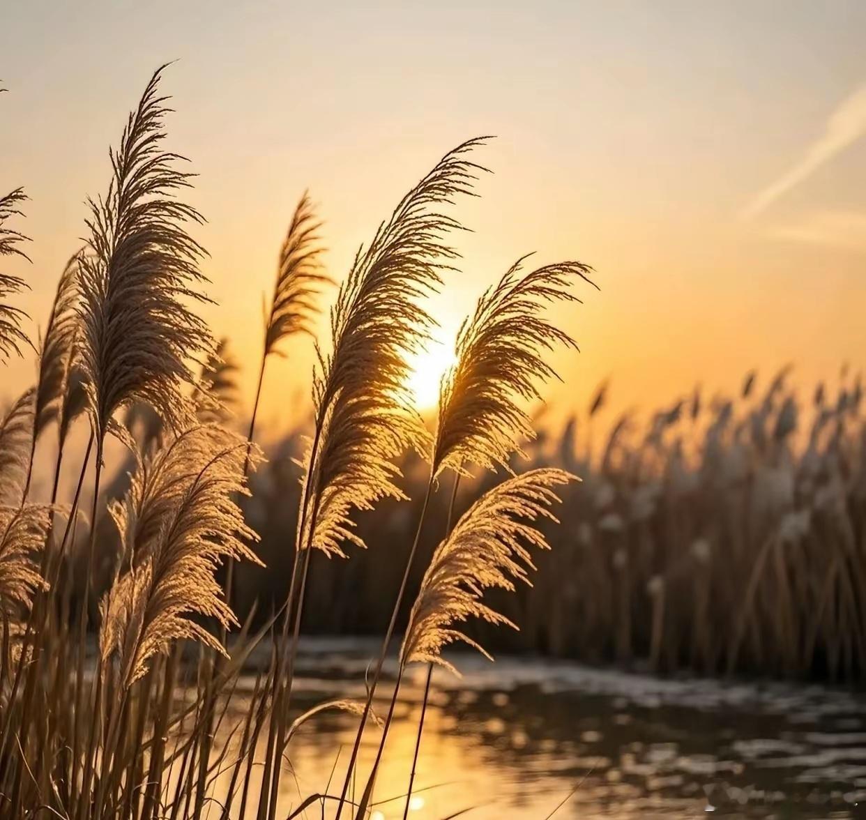 小寒大寒别错过这碗益智汤，填精益髓越喝越开窍中医常讲“冬藏精”，这对发育迟缓的孩