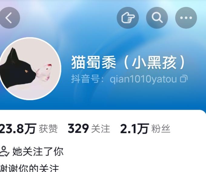 看到猫仔的直播间人气不高，我心里很不是滋味。作为柴桑的管理，猫仔的账号被对方盯着