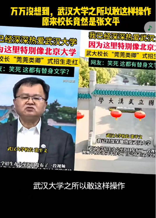 菀菀类卿，等待上级安排…武大校长张平文这种水平、这种操作，让北大风评也受害…​