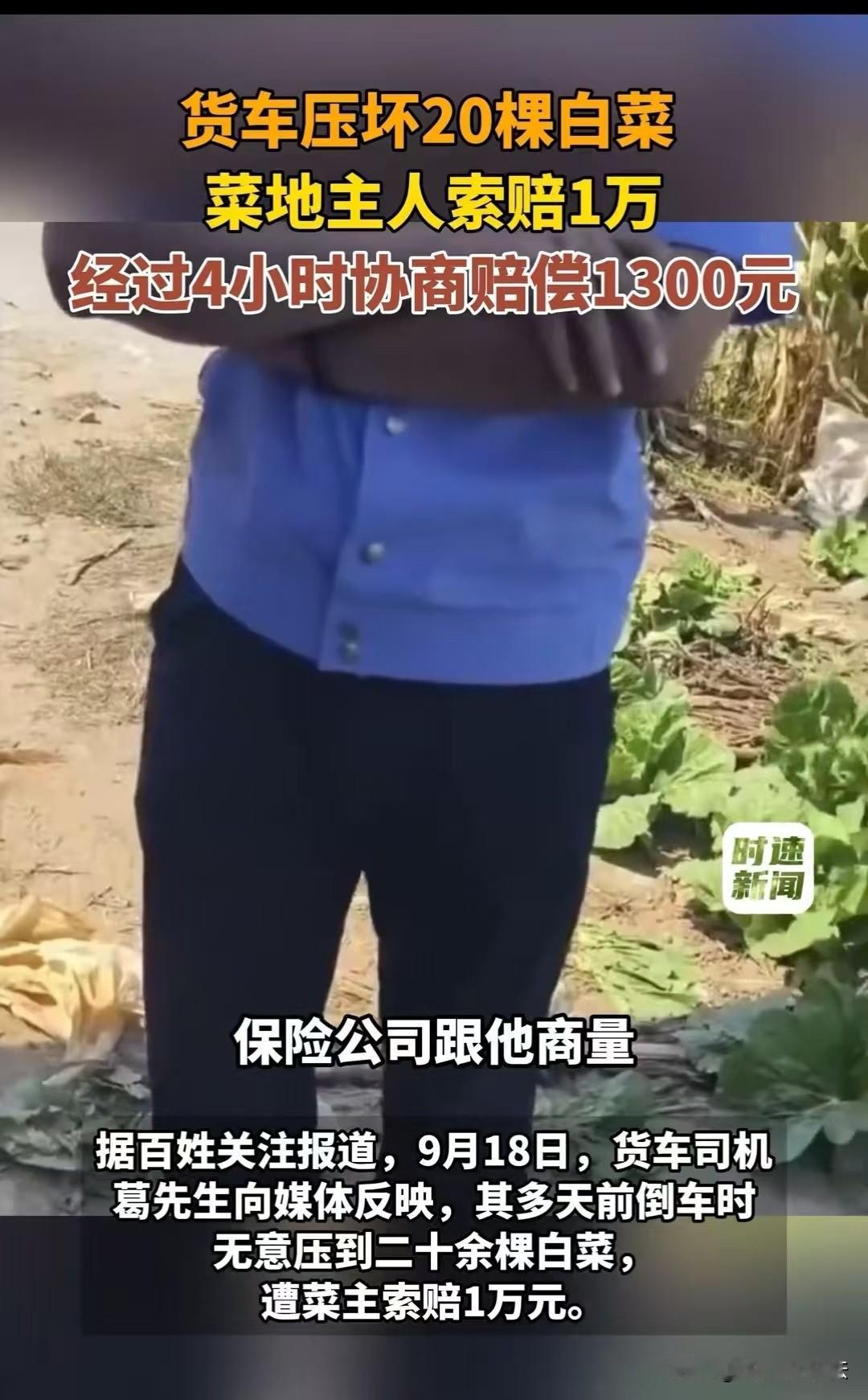 辽阳，男子在倒车的时候，压到了20几颗白菜，有人要求赔偿5000，后来报警，菜主