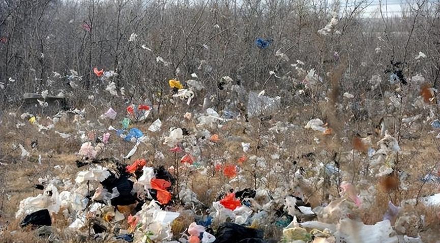 塑料污染严重危害地球，然而竹子却能救地球？中国这一招太狠了，一根竹子干了三件大事