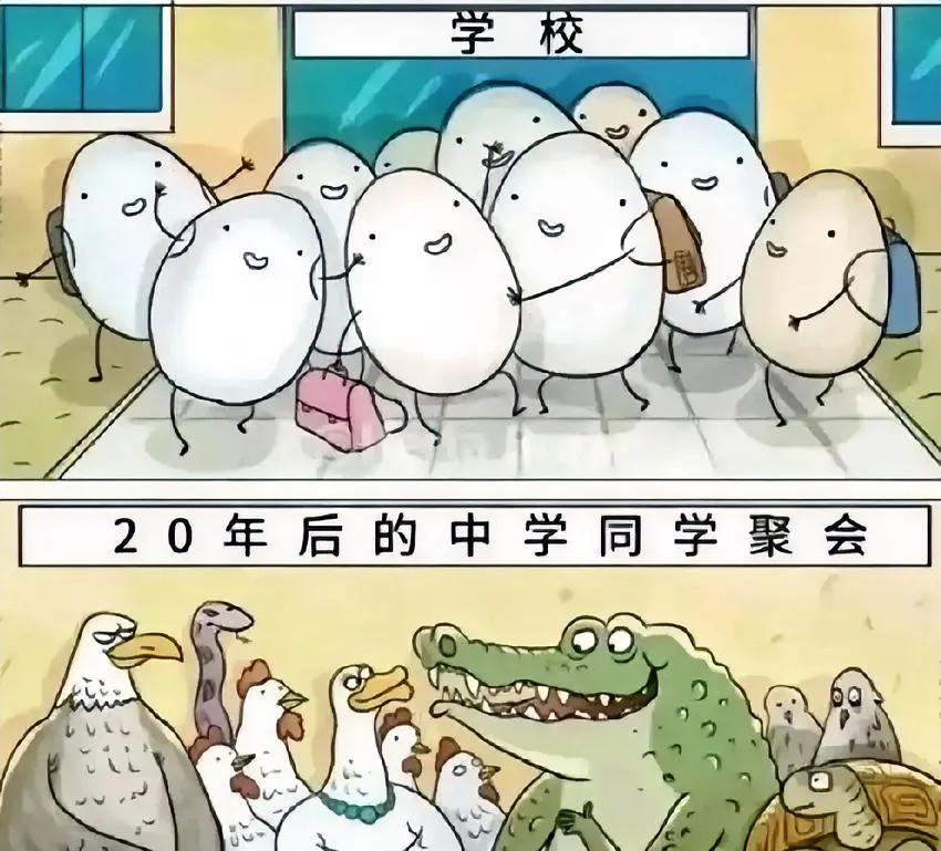 20年后的同学聚会，你们看懂了吗