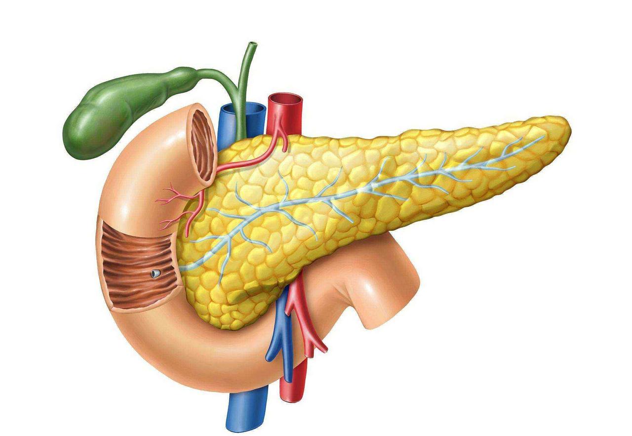 怀疑自己患上胰腺癌？不必惊慌，这7项检查能快速准确的帮你诊断胰腺癌，这个