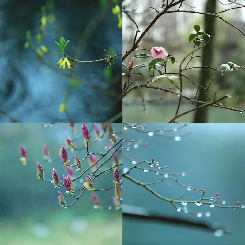 看到“淋春夏秋冬雨”这个上联，感觉特别有意境。四季之雨，各有韵味，春雨润如酥，夏