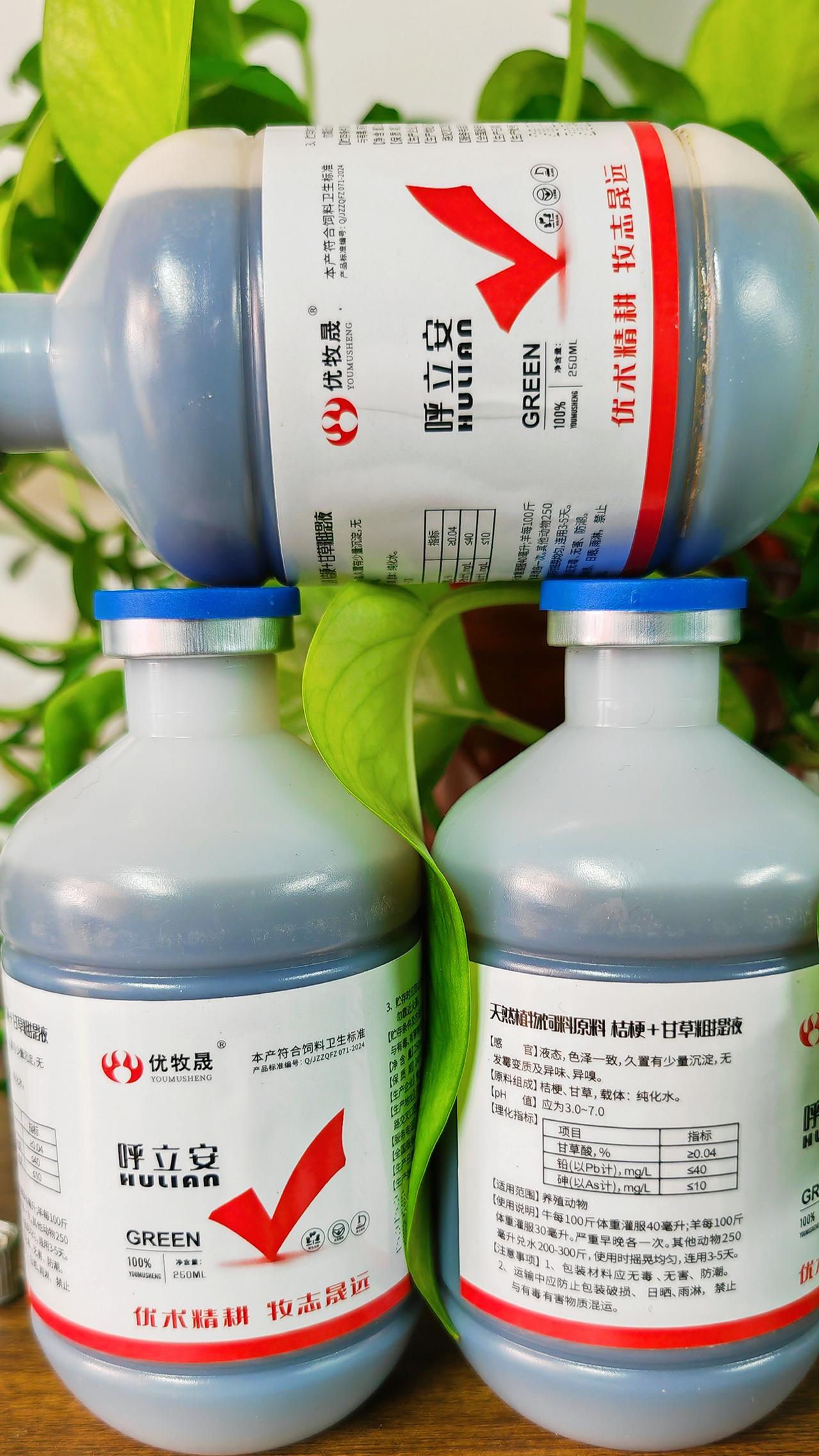 养羊人农村养羊牛羊养殖