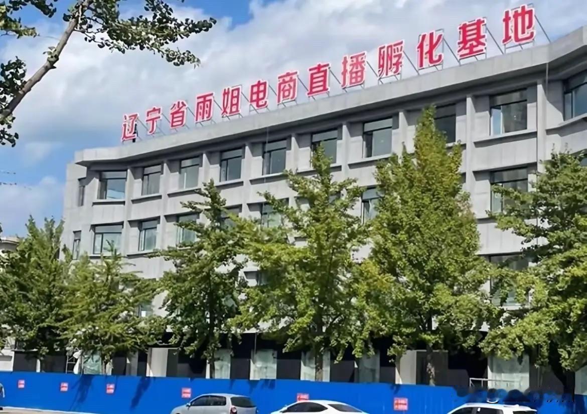 “东北雨姐”宣布出售电商大楼，有趣的是，她当初花1800万买的大楼，现在要