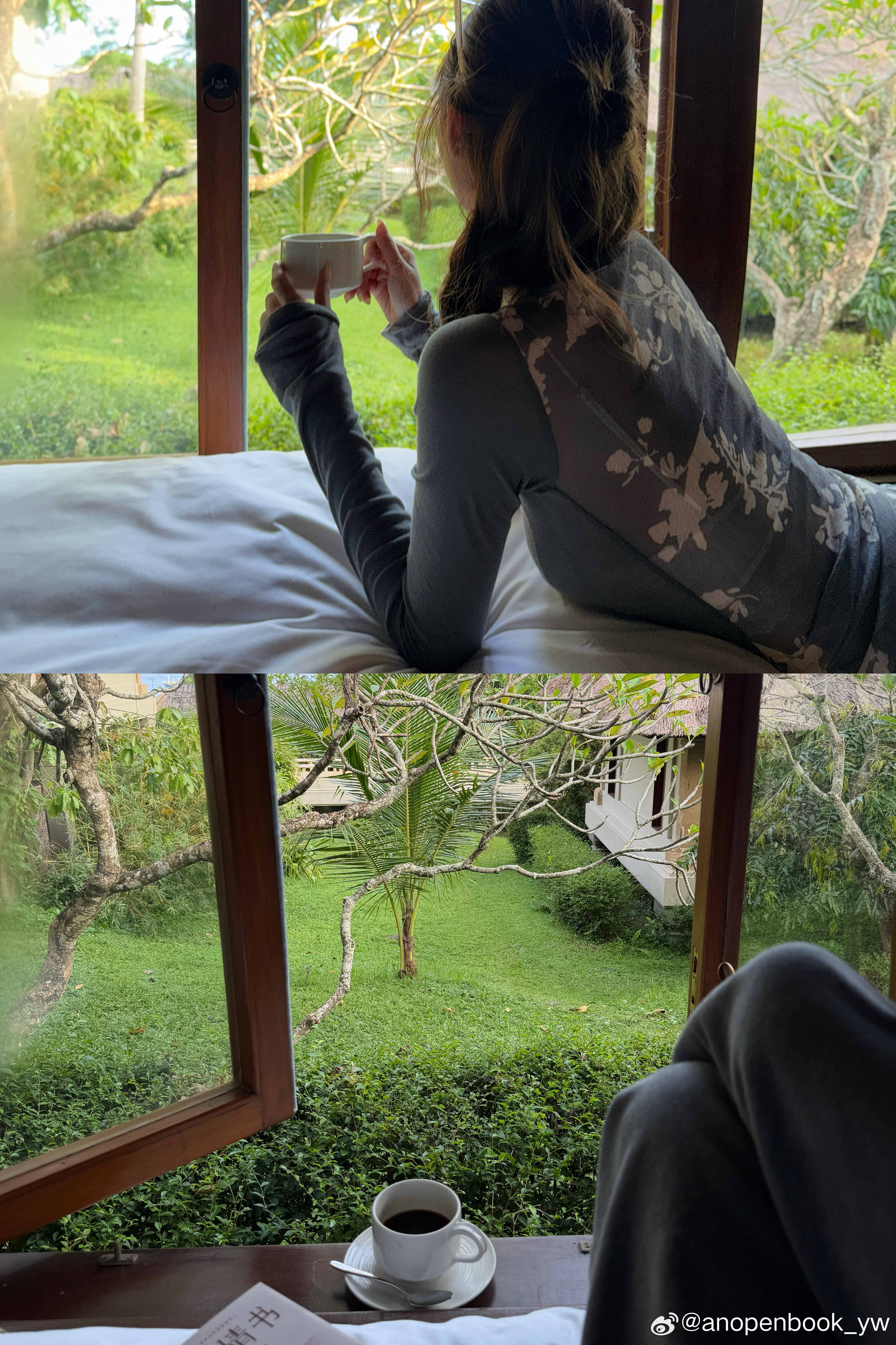 住在大自然生命力满满🍃