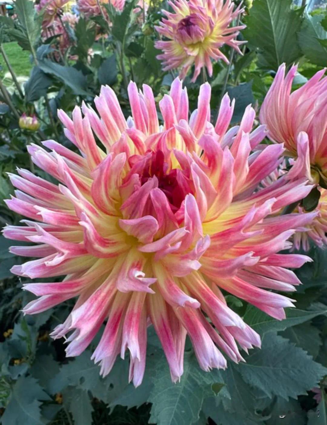 王志文说得很通透：“人生最好的导师，是父母的低头，亲戚的冷漠，朋友的离开，爱人的