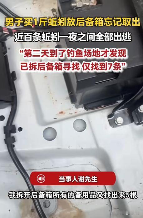 江苏徐州，一男子买了1斤活蚯蚓准备第二天钓鱼，随手将塑料袋系好扔进后备箱就回了家