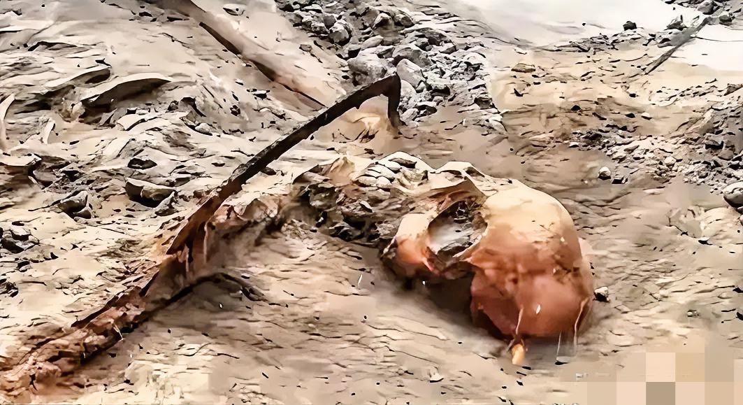 83年埋骨黄土，1068具遗骸的发现，真的让人心头发颤到说不出话！