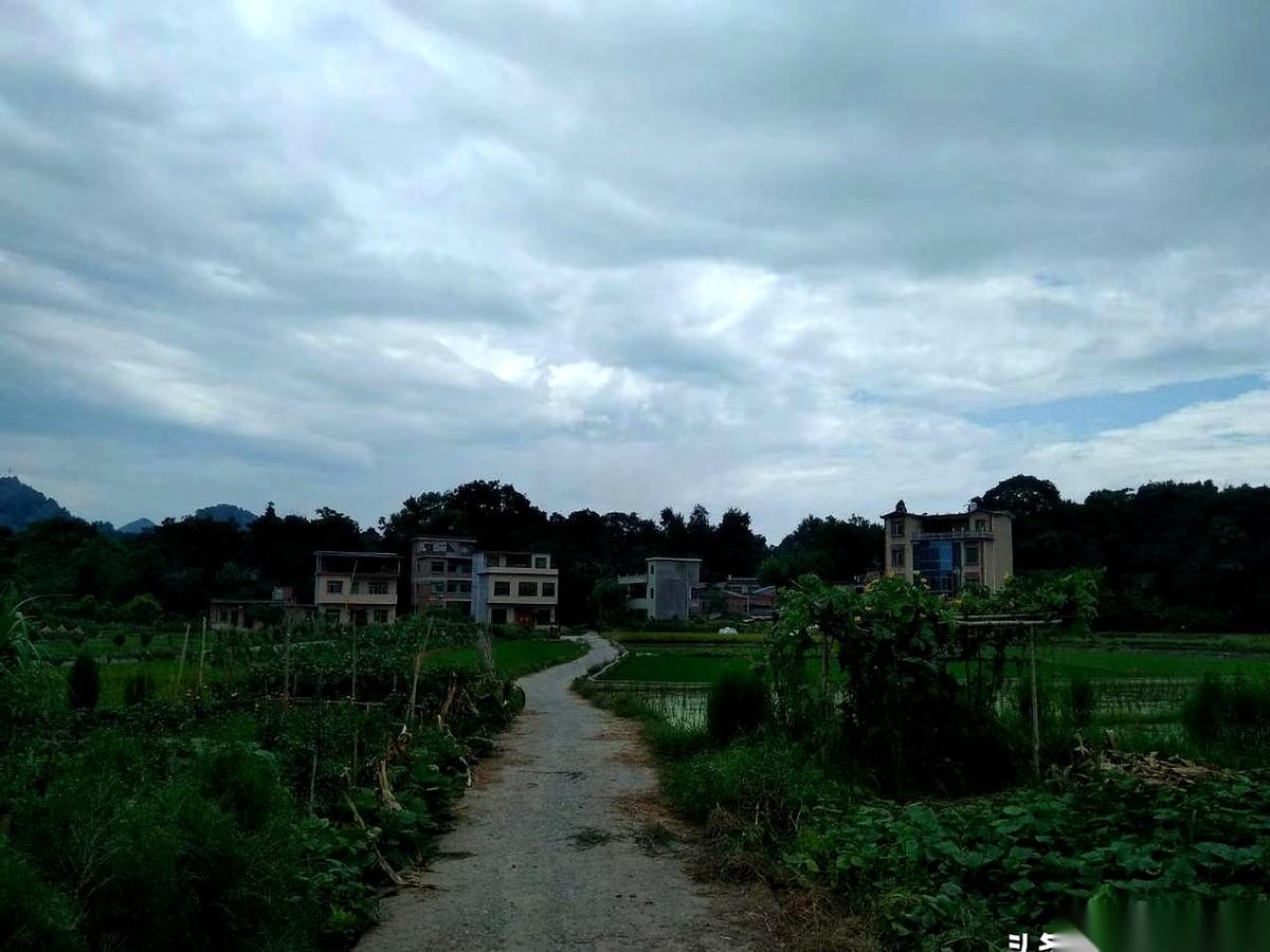 我直接听傻了。一个买入方法，2万9千8。一个卖出方法，又是2万9千8。这是