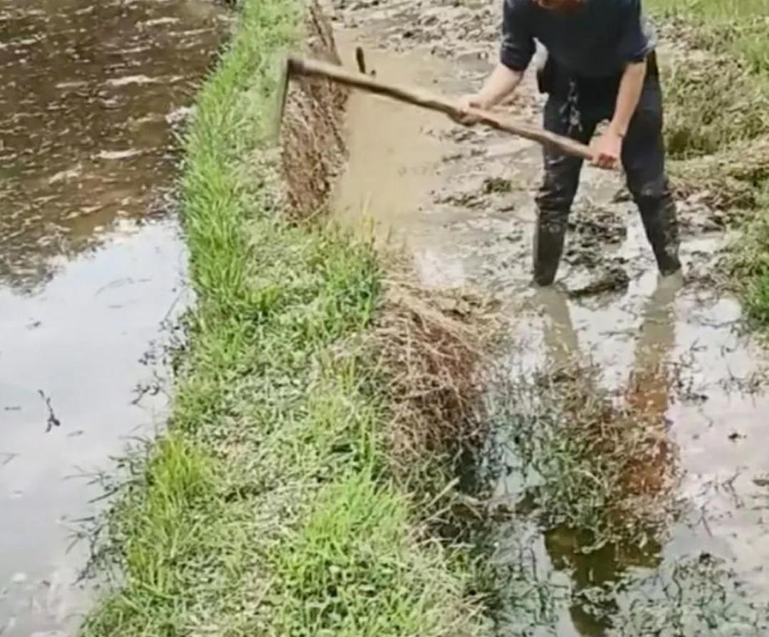 这应该就是人性的自私与贪婪吧？这可真是，宁可坐失一分，也不放过一寸啊[红脸笑]