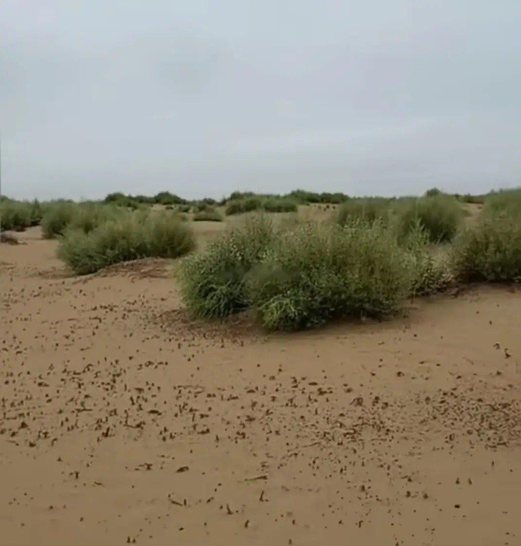塔克拉玛干沙漠和田地区暴雨，有人喜极而泣在雨水里洗澡；有人屋子漏成了水帘洞；有人