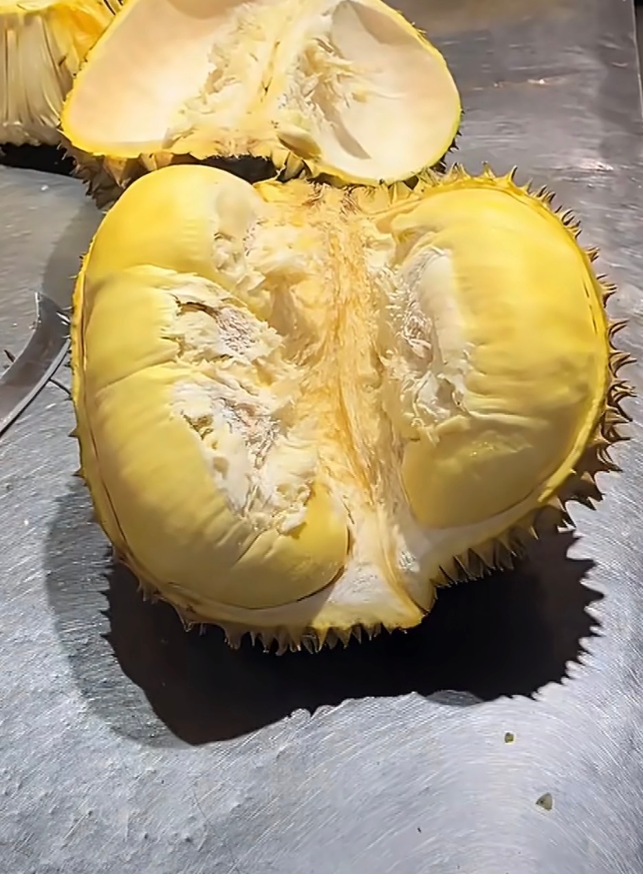 世界上最完美的榴莲出现了这榴莲简直完美，我什么时候也能开个这种