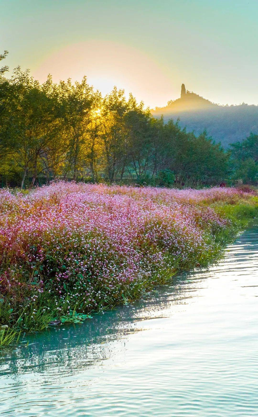 太原人的三伏天该怎么养生太原三伏天里，养生得注意防晒，出门戴个帽子，打个遮阳伞