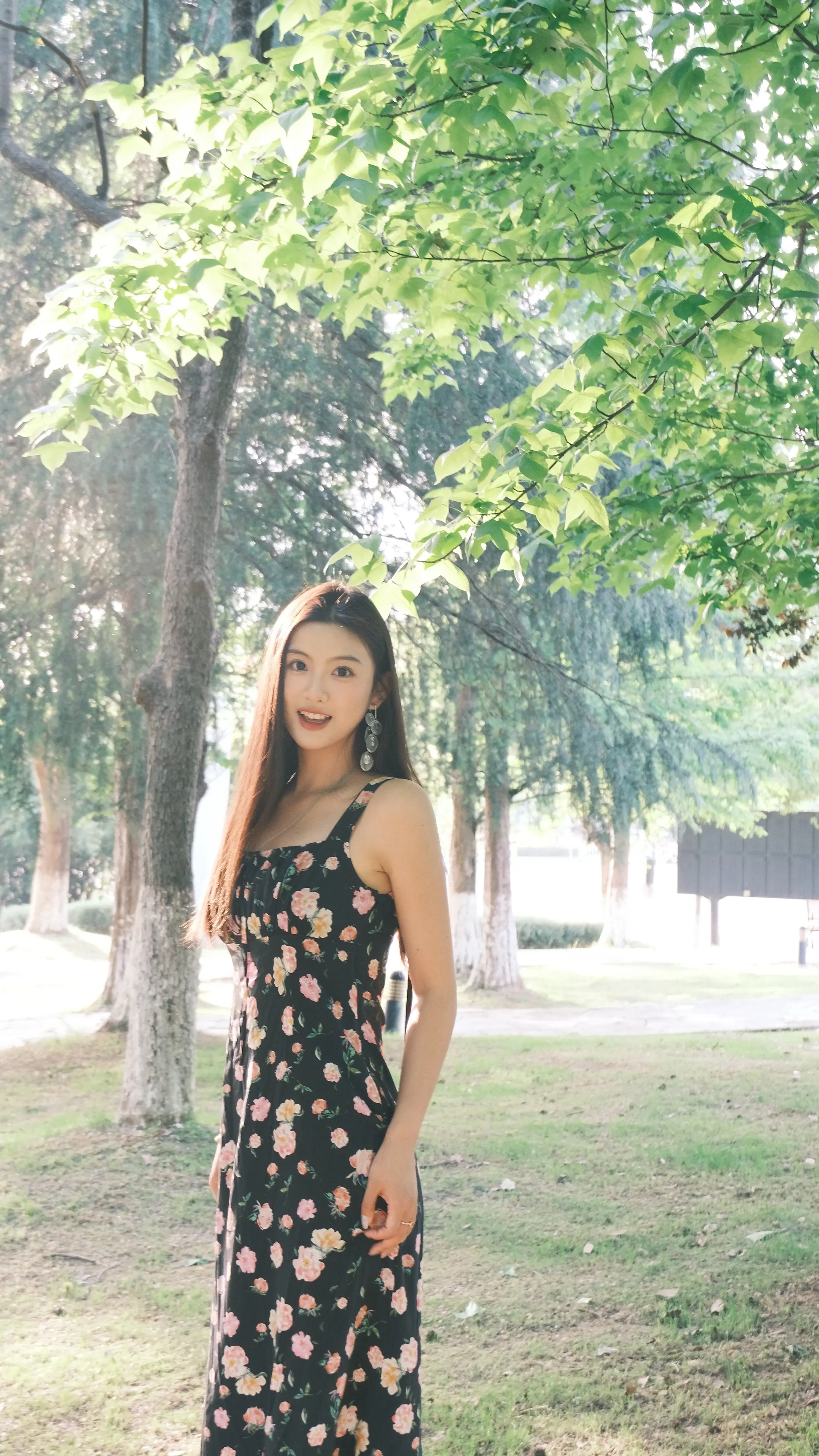 盛夏的果实
