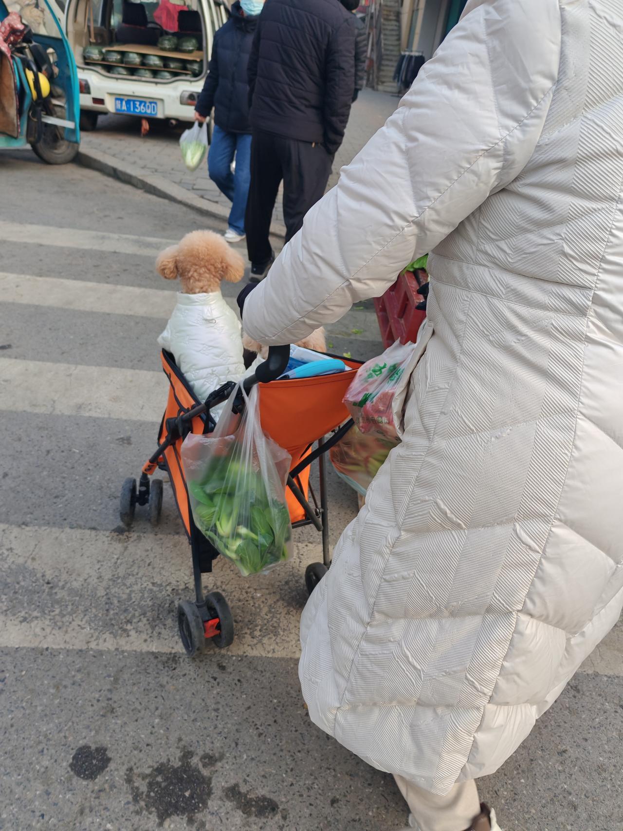 今天见到了有趣的一幕2月1日，坐标西安。上午我在集市闲逛的时候，看到了一个大姨