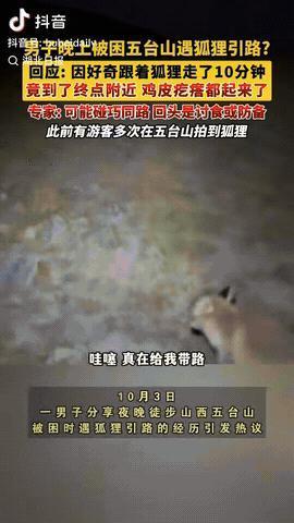 一男子徒步旅游，不料他晚上被困在五台山，就在他非常担心的时候，突然他面前惊现一只