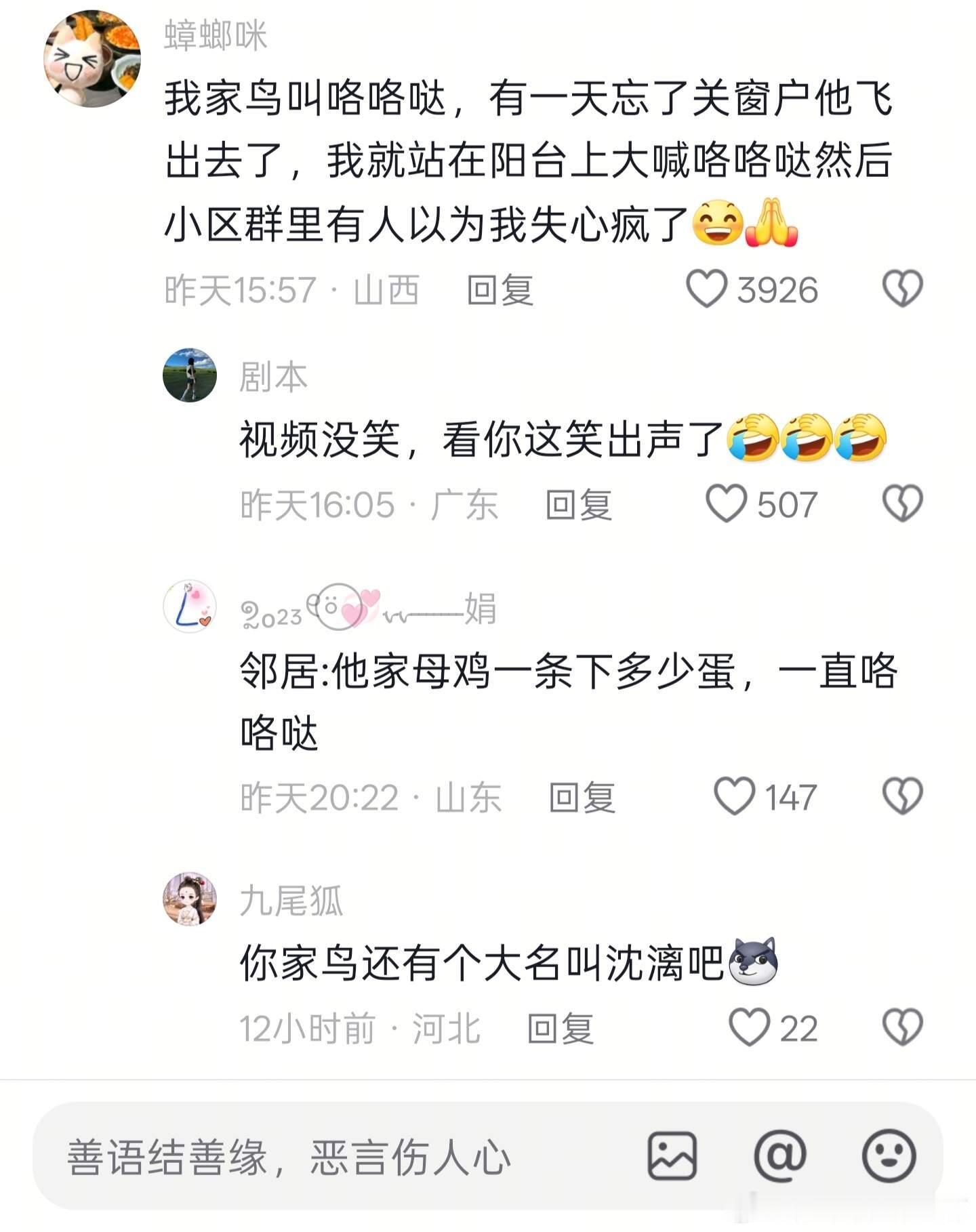 一定要给宠物起个正常名字，不然就会。。