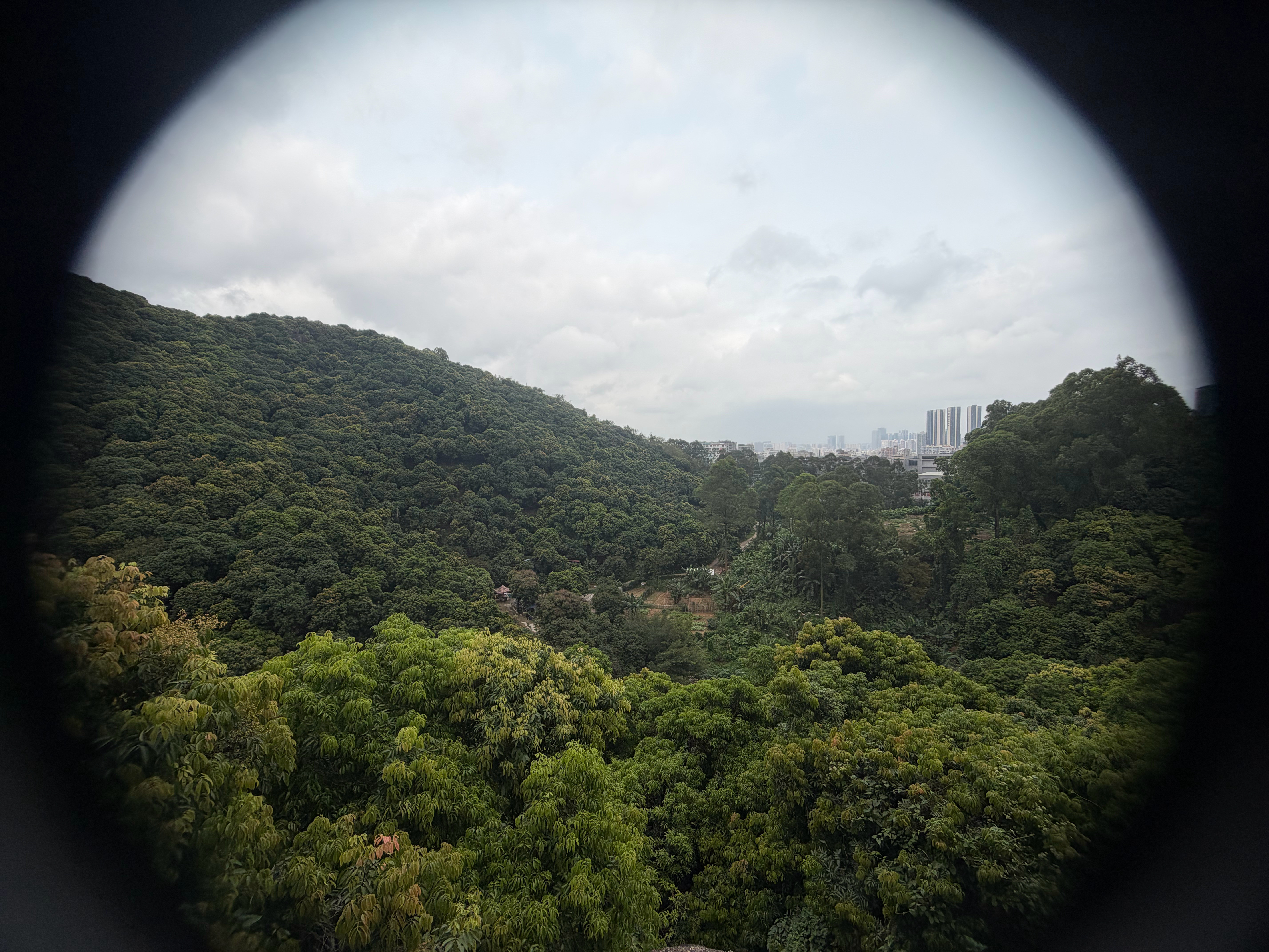 古德猫不E闻宁深圳·羊台山森林公园