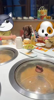 4月28日报道，天津铁锅炖餐厅上演争议一幕，女子带两只宠物狗进独立包间庆生，