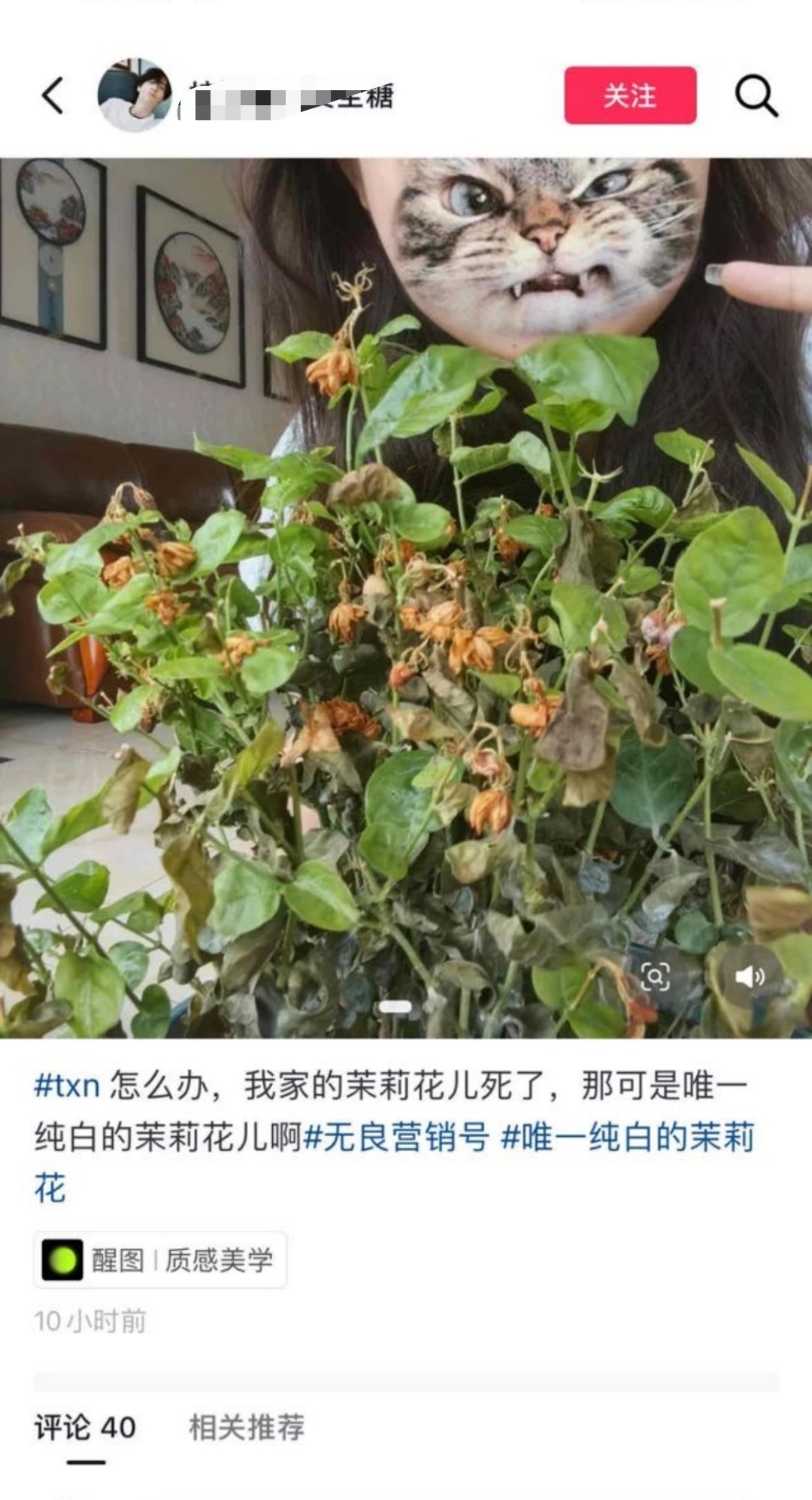 我真不行了，好恨​​​