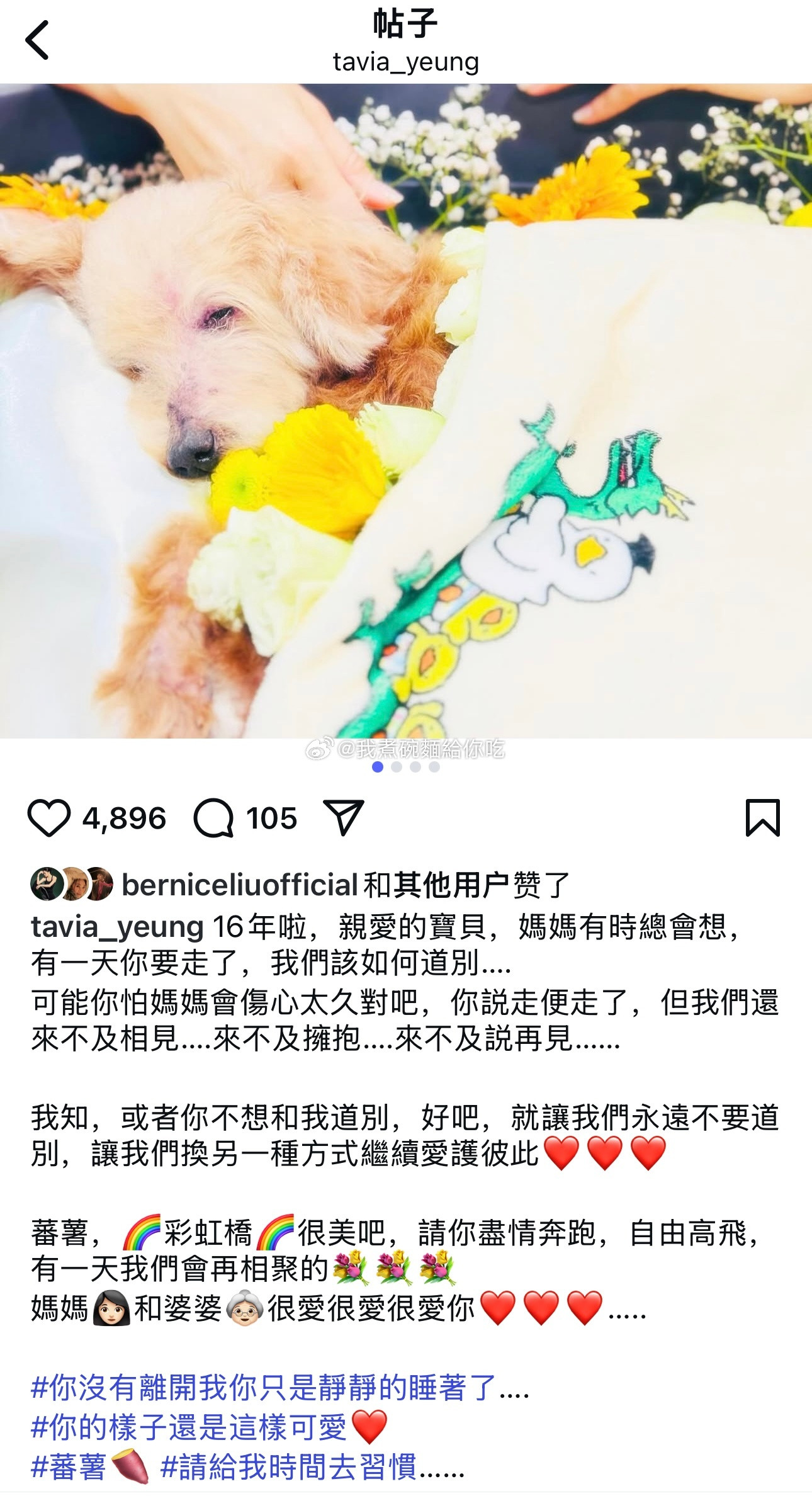 杨怡养了16年的狗狗走了​​​