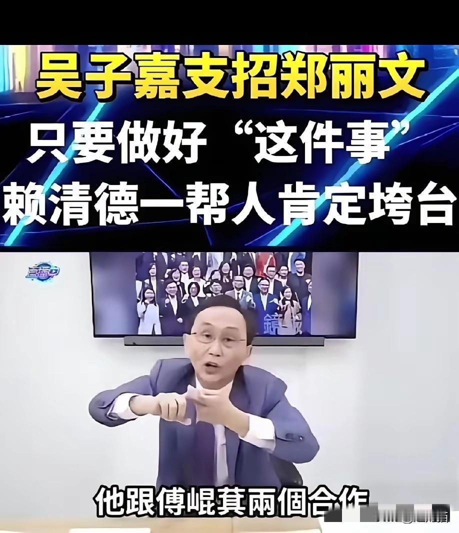 吴子嘉支招郑丽文，只要做好这一件事，赖清德一帮人肯定就要垮台。​他说，国民党内