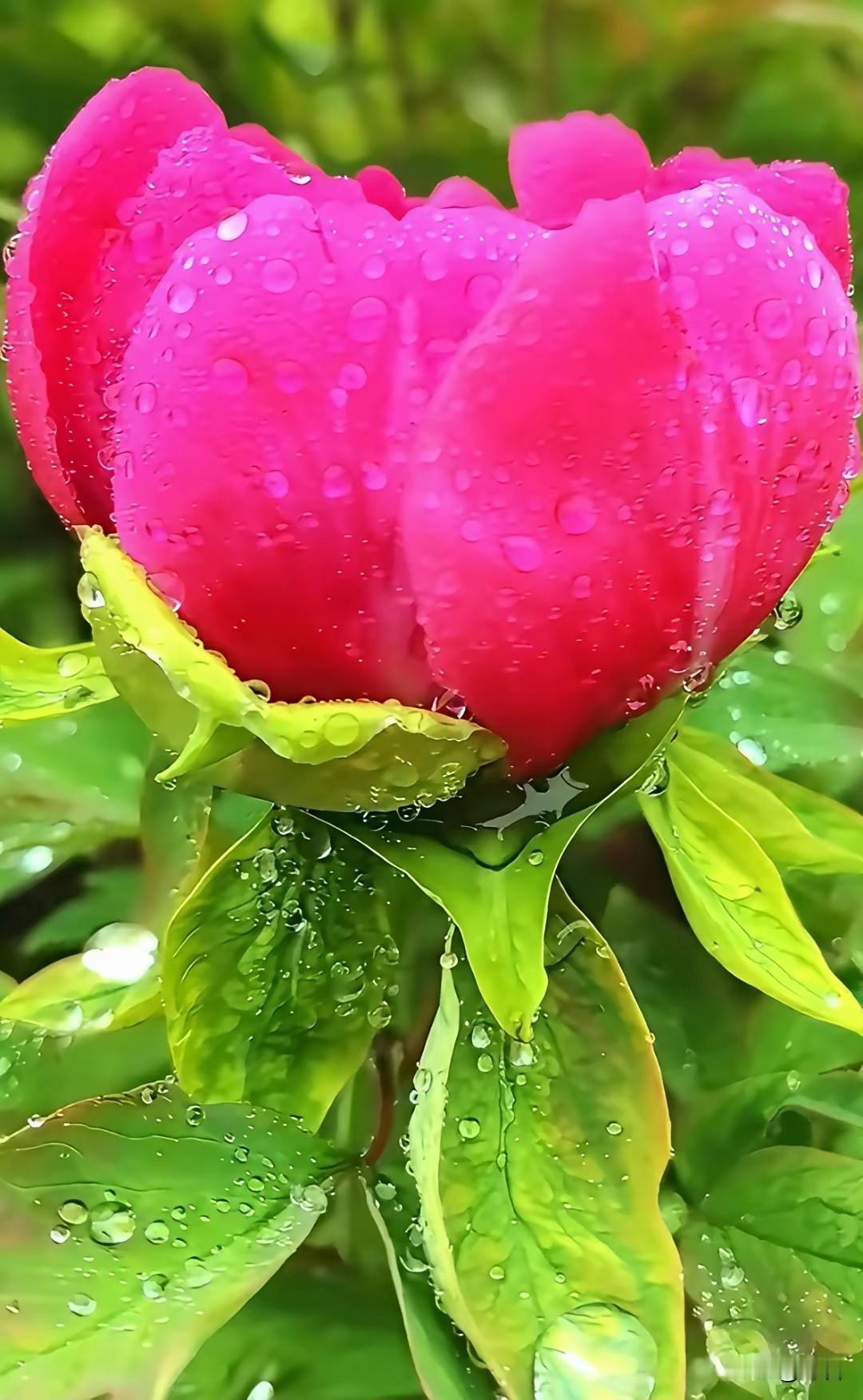 孕妇最实用、最舒服的生活方式一、吃：不猛补，不乱吃，舒服最重要1. 