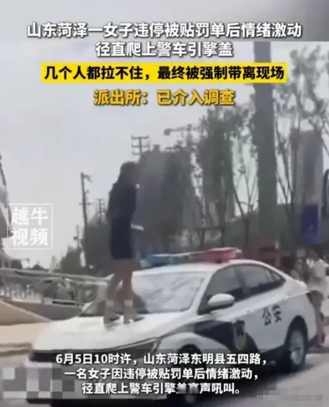 2025年6月5日上午10点左右，山东东明县上演了一场令人无语的闹剧。一名自称