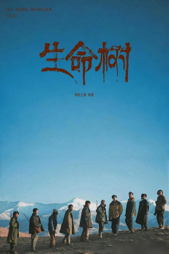 可可西里，一条藏羚羊绒披肩，黑市批发价60万港币。另一边，守护这片土地的野牦牛